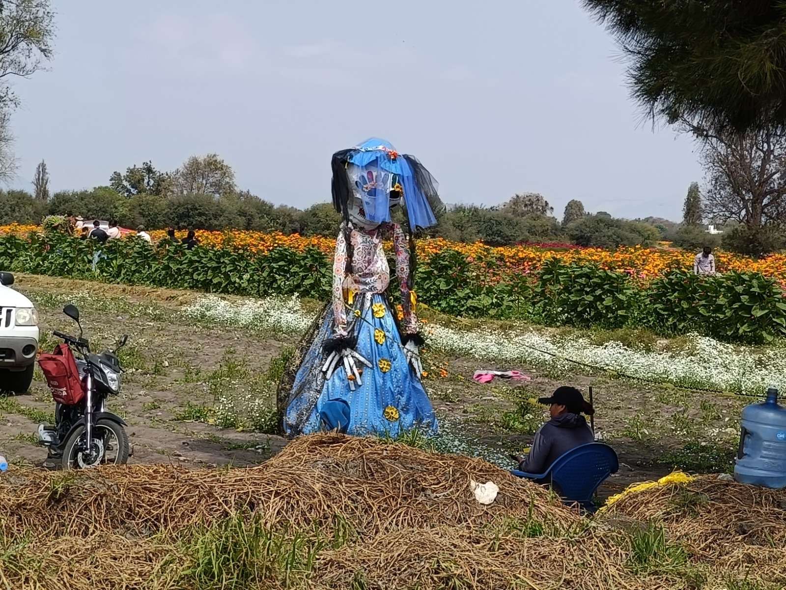 Reportan buenas ventas de flores en Doxey durante las celebraciones de Día de Muertos