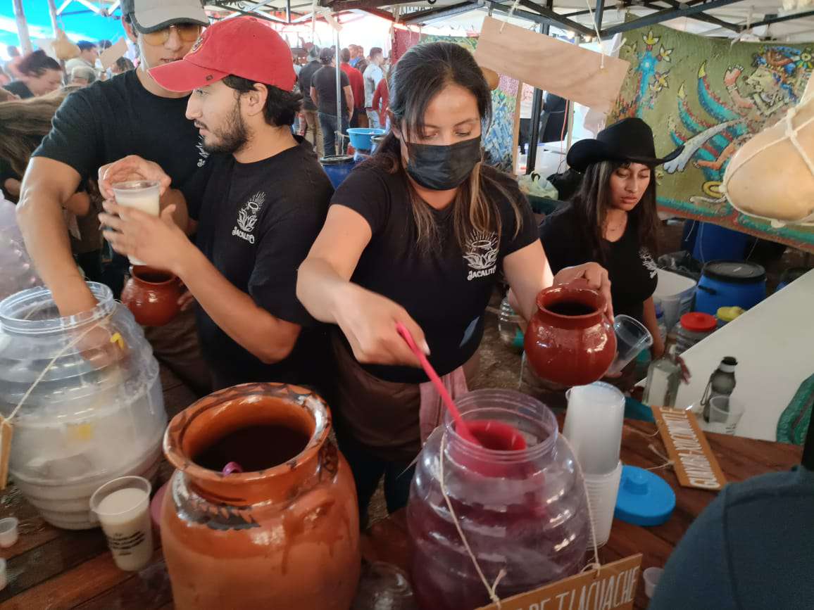 ¿Te perdiste el Festival del Pulque de Ocampo 2024? Te contamos cómo estuvo