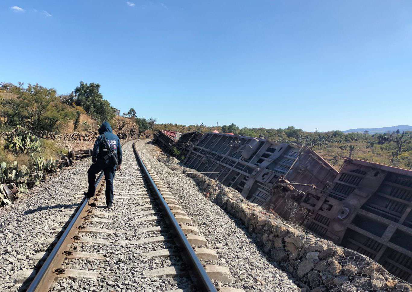 Se descarrilan vagones de tren en Hidalgo