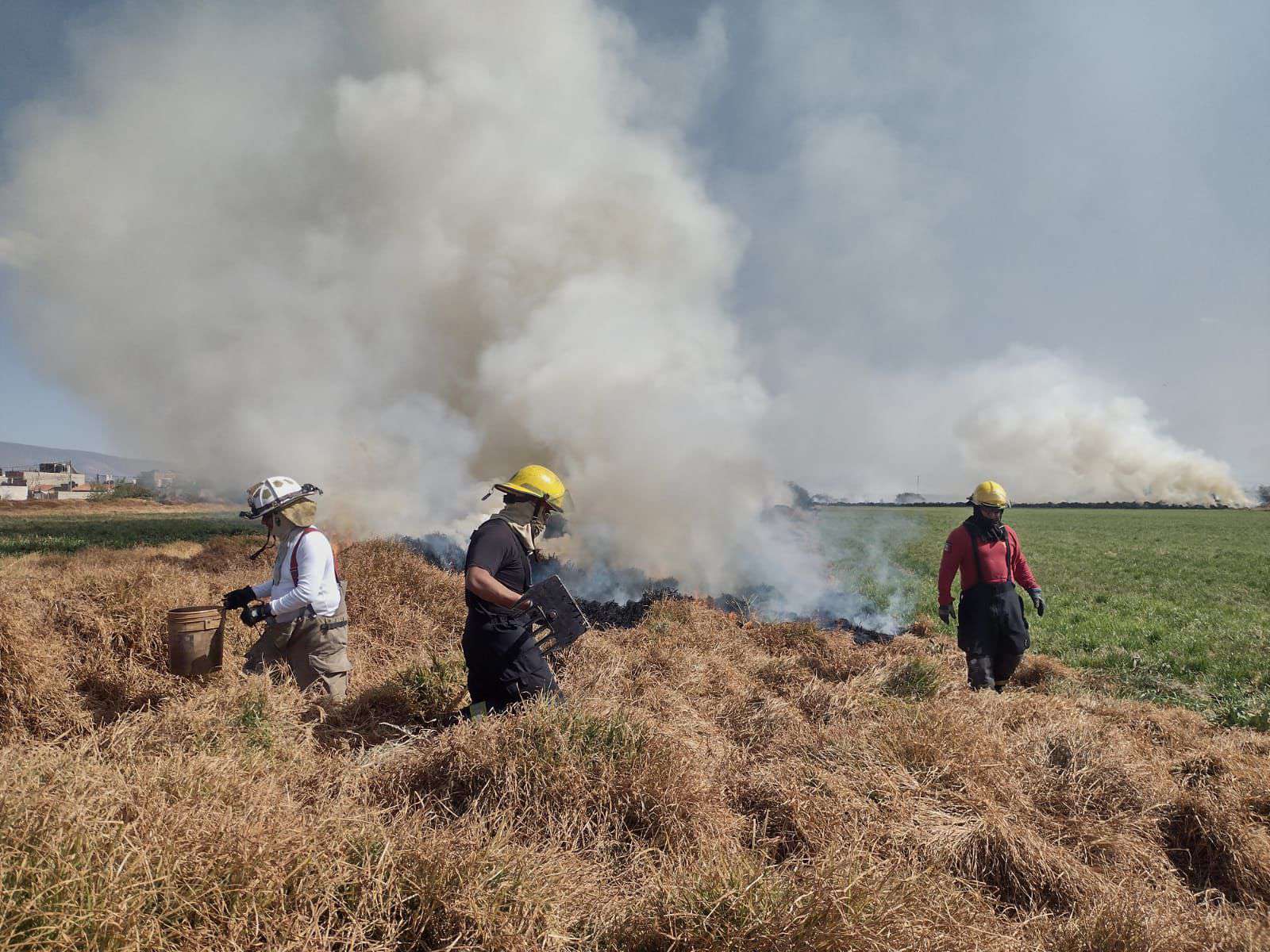 Controlan incendio en terrenos de Mineral de la Reforma