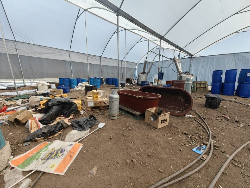 Desmantelan 839 laboratorios clandestinos en 17 estados, incluido Hidalgo