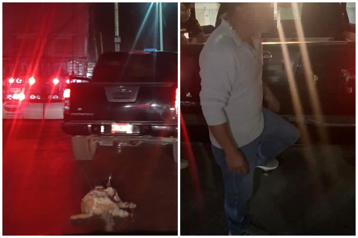 Maltrato animal en Tulancingo: detienen a conductor que arrastró a ‘lomito’
