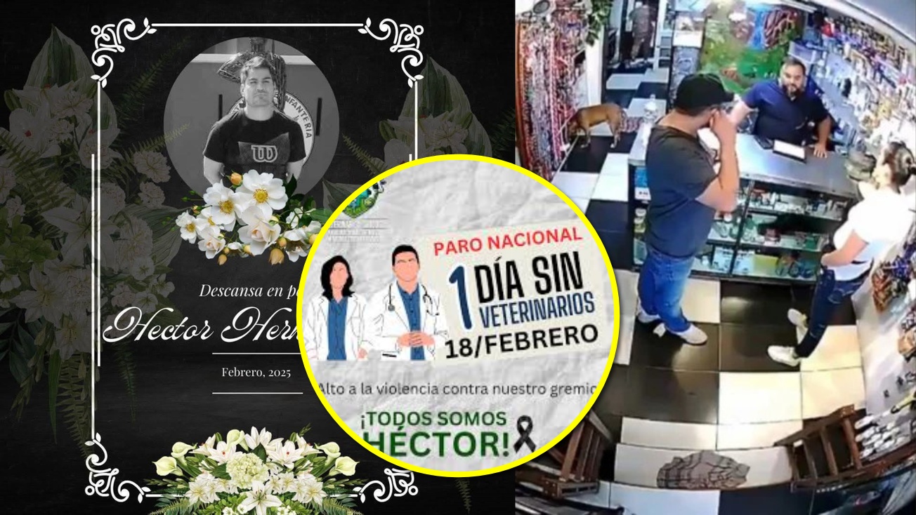 Paro Nacional Veterinarios: médicos de Hidalgo se suman a manifestación