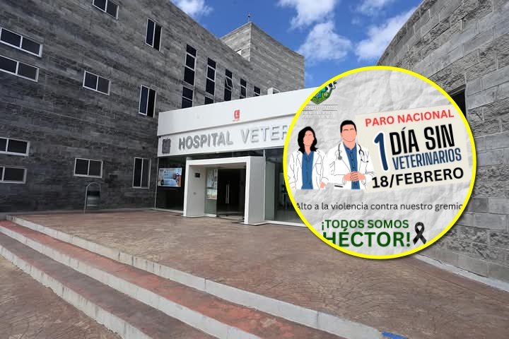 Paro Nacional de Veterinarios: catedráticos de la UAEH se unen al movimiento