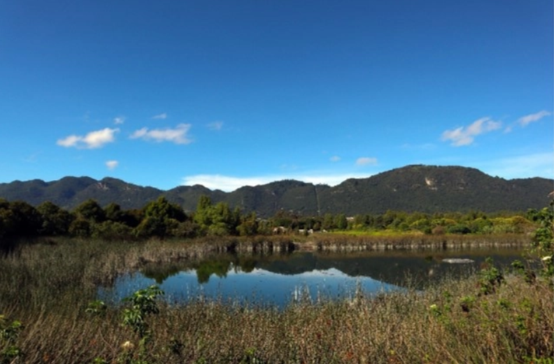 Realizan foro para destacar humedales y especies que los habitan
