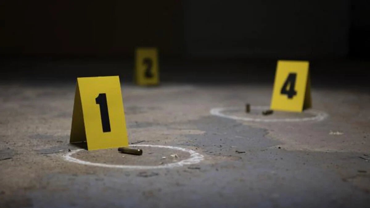 ¿Qué delitos aumentaron en Hidalgo en 2024 de acuerdo con México Evalúa?