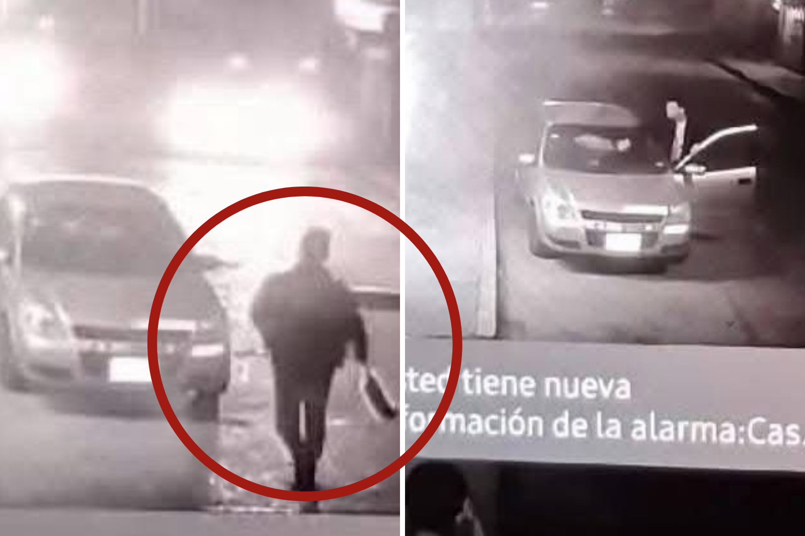 Maltrato animal en Hidalgo: agreden a tlacuache hasta causarle la muerte