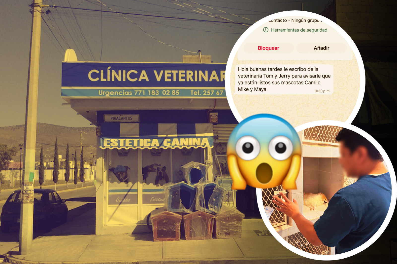 Denuncian negligencia en veterinaria en Pachuca tras la muerte de una perrita