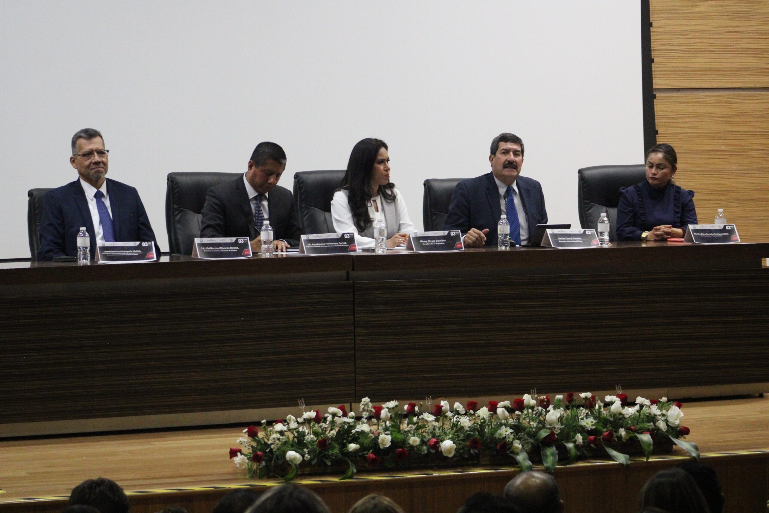 TEEH resuelve importantes casos sobre violencia política de género y derechos electorales