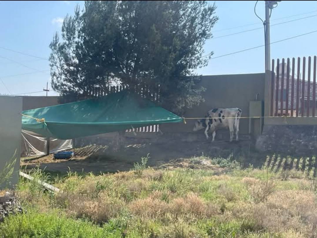 ¡Alumnos de la UPT podrían ir a paro estudiantil! Esta es la causa