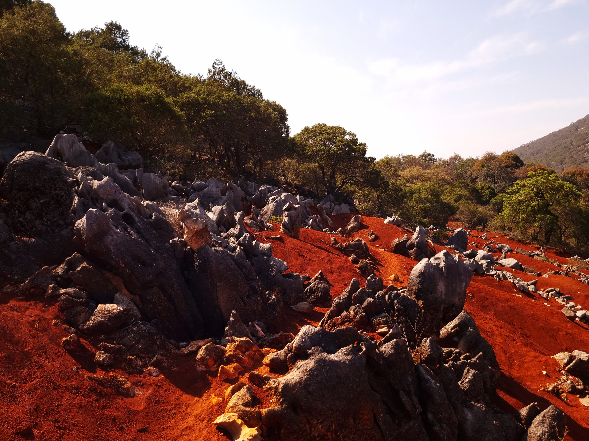 Dunas Rojas en Pacula: un desierto rojo en Hidalgo