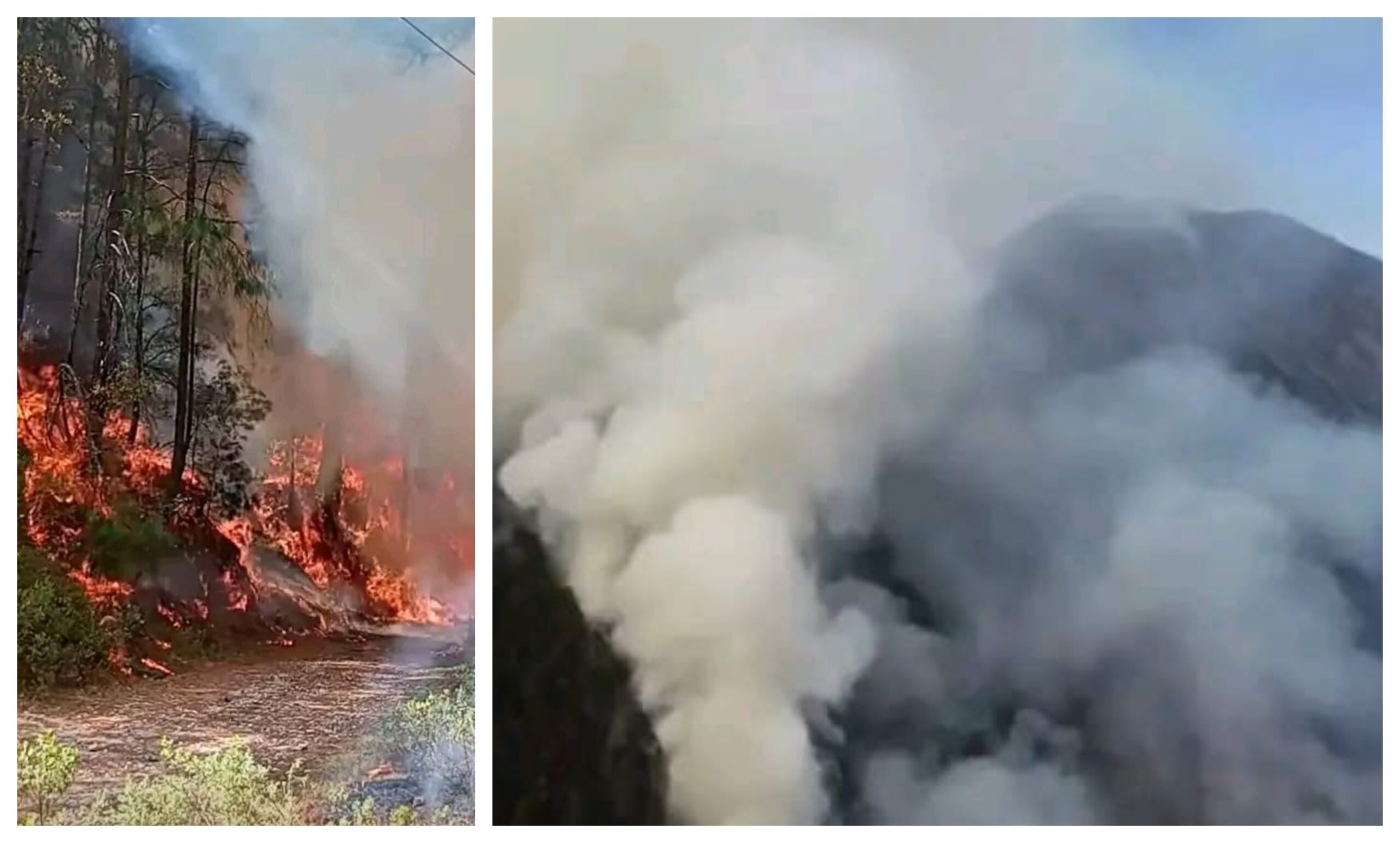 Controlan incendio en Nicolás Flores; afectó más de 180 hectáreas