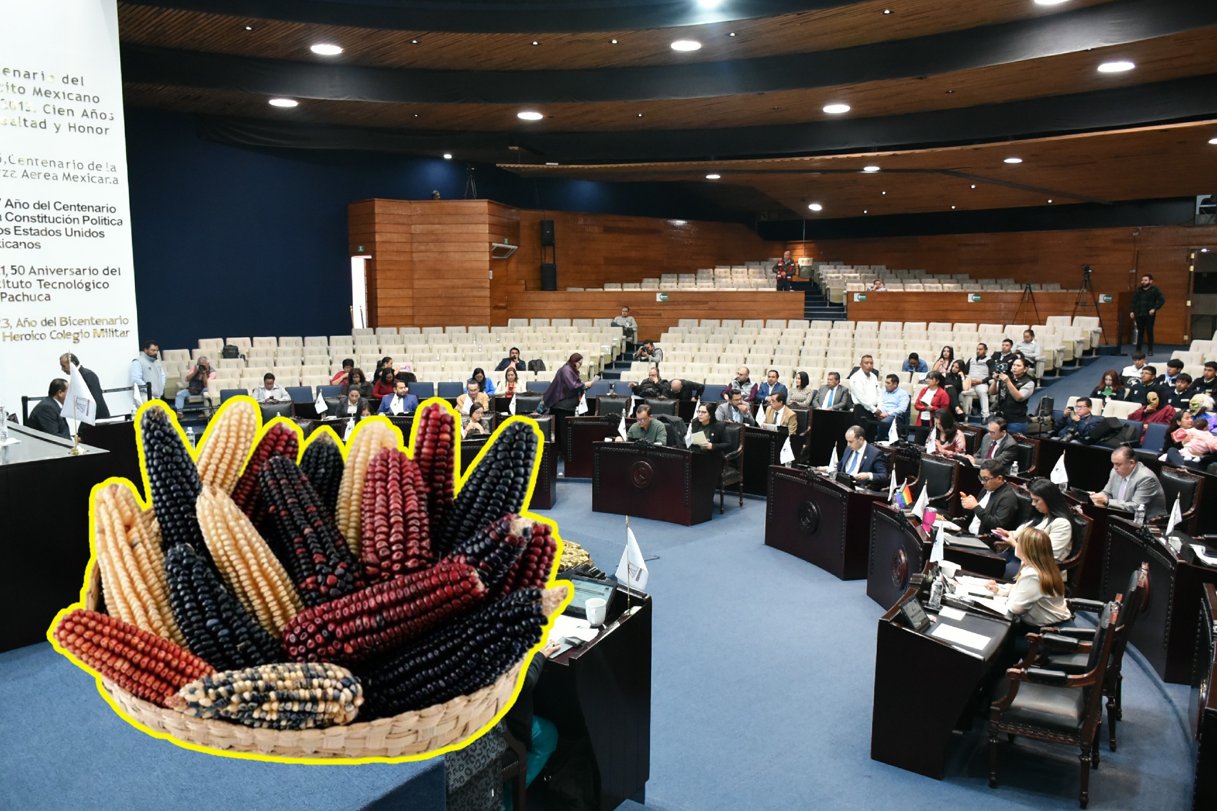 Hidalgo aprueba protección del maíz nativo