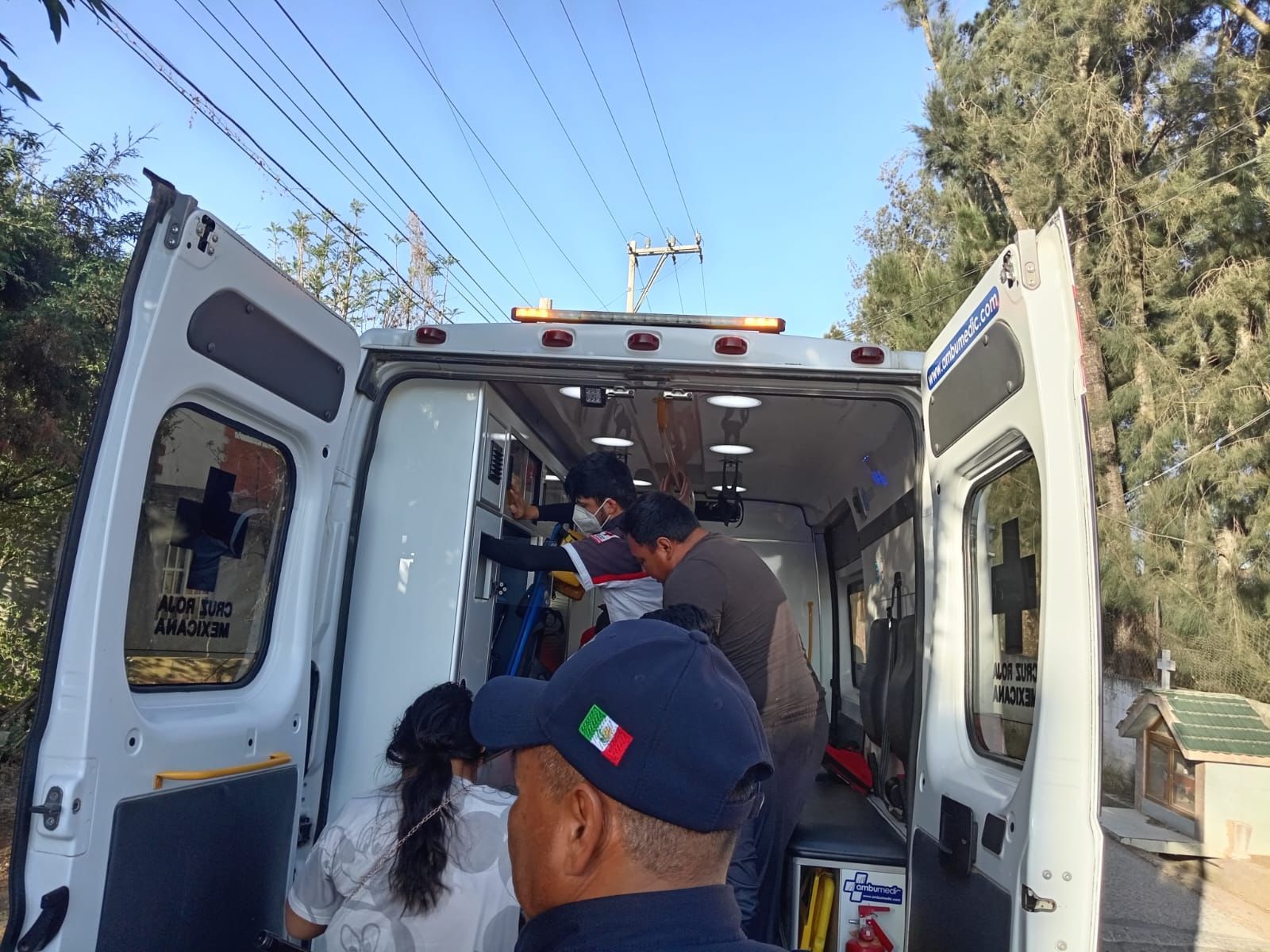 Fallece abuelita tras ataque de abejas en Atotonilco el Grande