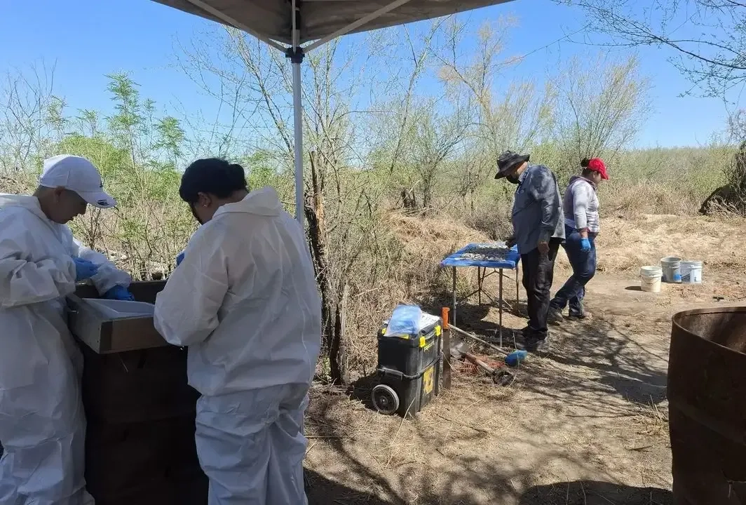 Crematorio hallado en Tamaulipas es parte de una funeraria: fiscalía