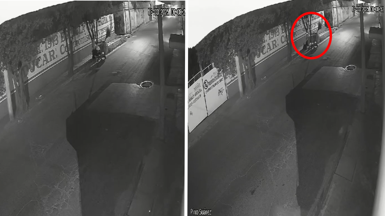 Pachuca: multan a trabajador municipal que tiró basura en la calle | VIDEO