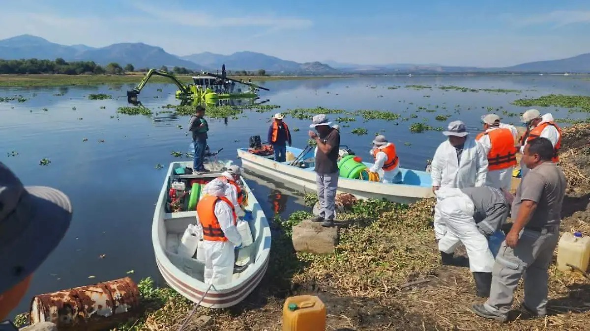 Avanzan fumigaciones en presa Endhó y 24 comunidades; buscan sumar 4 más