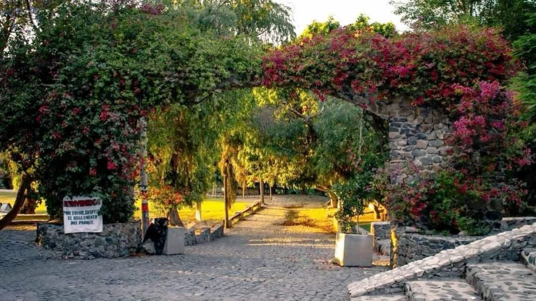 Hallan cuerpo cerca de parque acuático en Hidalgo; ya investigan el caso