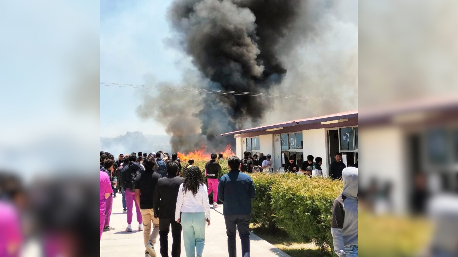 Incendio forestal obliga a UPP a suspender actividades presenciales