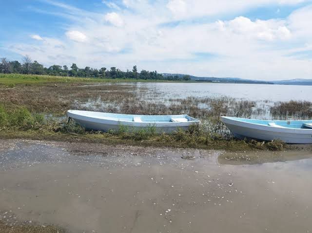 Tragedia en la presa Requena: pescador pierde la vida
