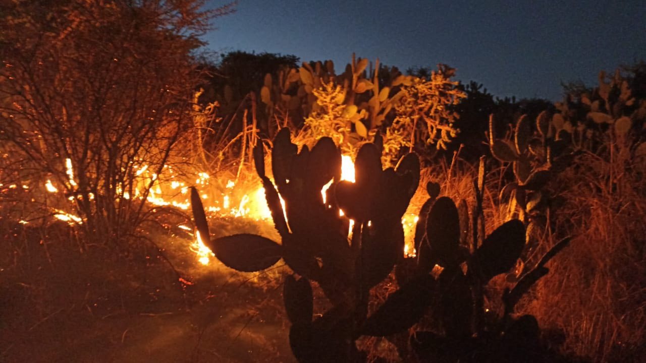 Reportan cinco incendios forestales activos en Hidalgo: estos son los municipios afectados