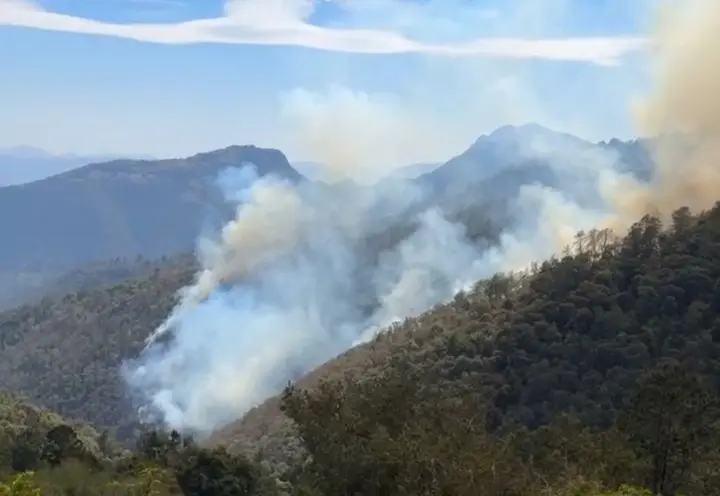 Tlahuiltepa: incendio forestal afecta 10 hectáreas