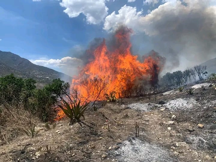 Bomberos de Cardonal combaten tres incendios en menos de cuatro horas