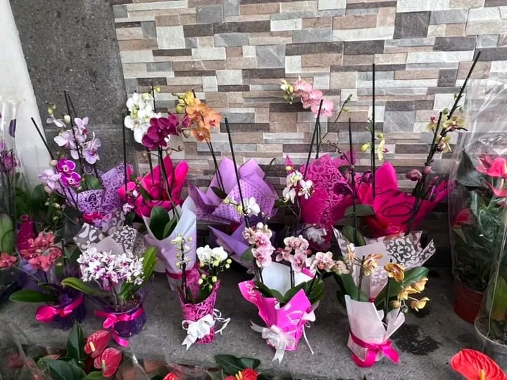 Precio de flores se duplica en Ixmiquilpan por Día de las Madres