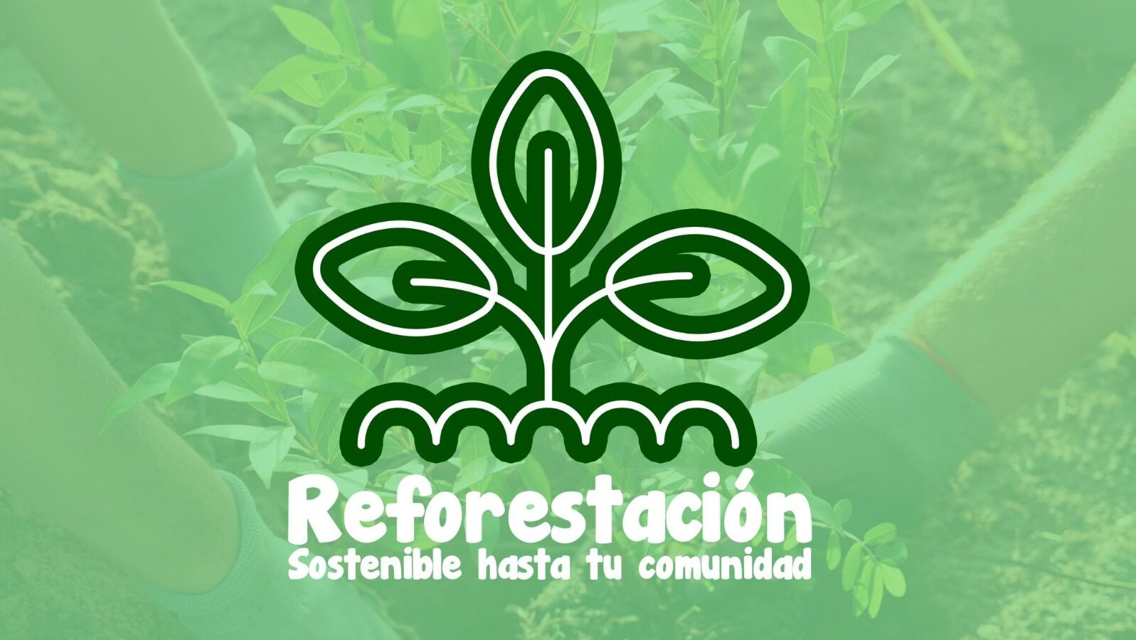 Tizayuca se une a la “Reforestación sostenible hasta tu comunidad”