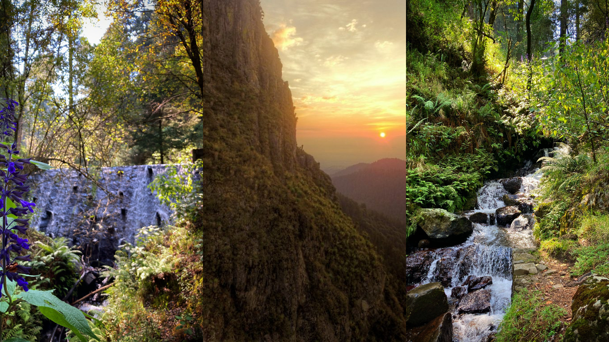 Visita la cascada La Sehuaya en Los Dinamos, un paraíso ecoturístico dentro de CDMX con senderos, rappel y truchas frescas.
