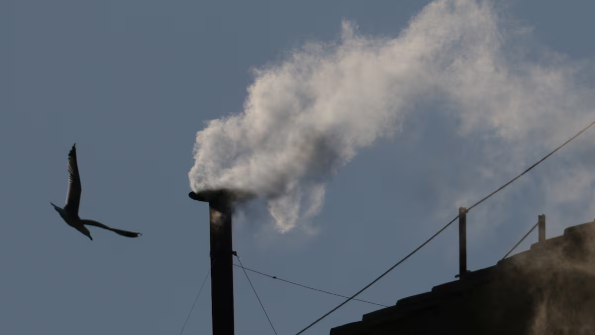 Cardenales eligen al sucesor de Francisco como líder de la Iglesia