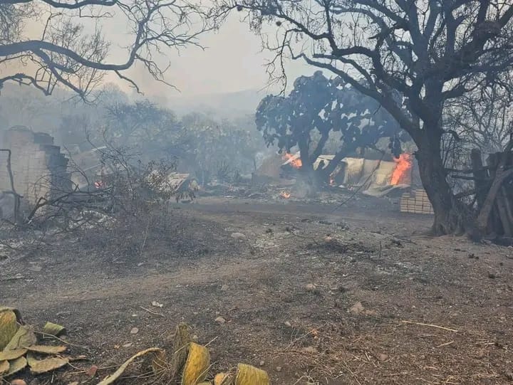 Evacúan a 80 personas por incendio forestal en límites de Actopan y El Arenal