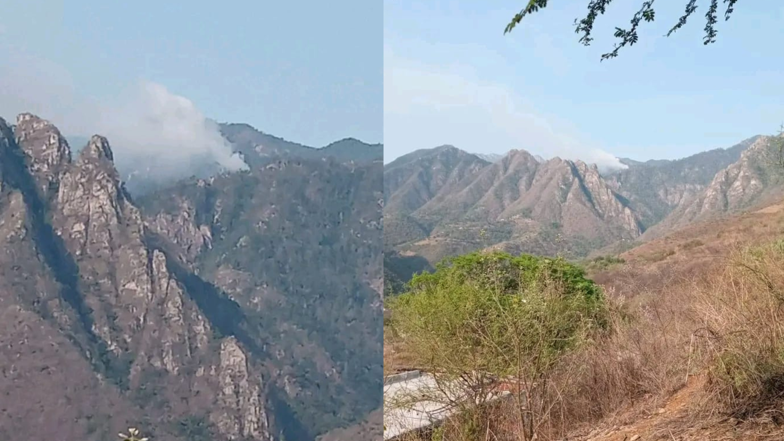 Incendio forestal en Chichicaxtla, entre Cardonal y Tlahuiltepa
