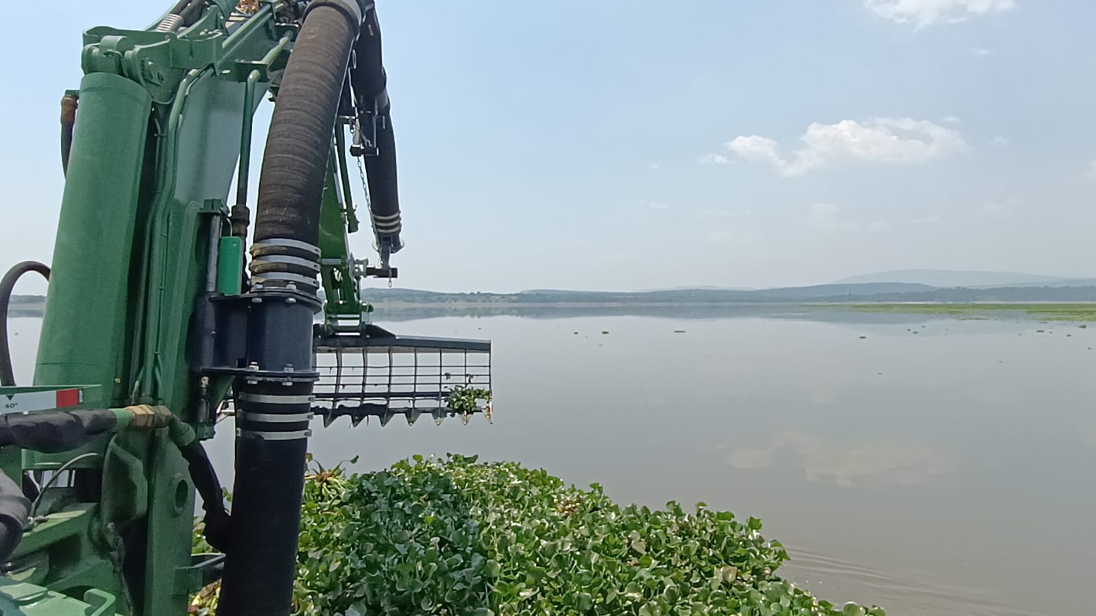 Marinos y pobladores mantienen lucha contra el lirio en la presa Endhó; desmienten a panistas