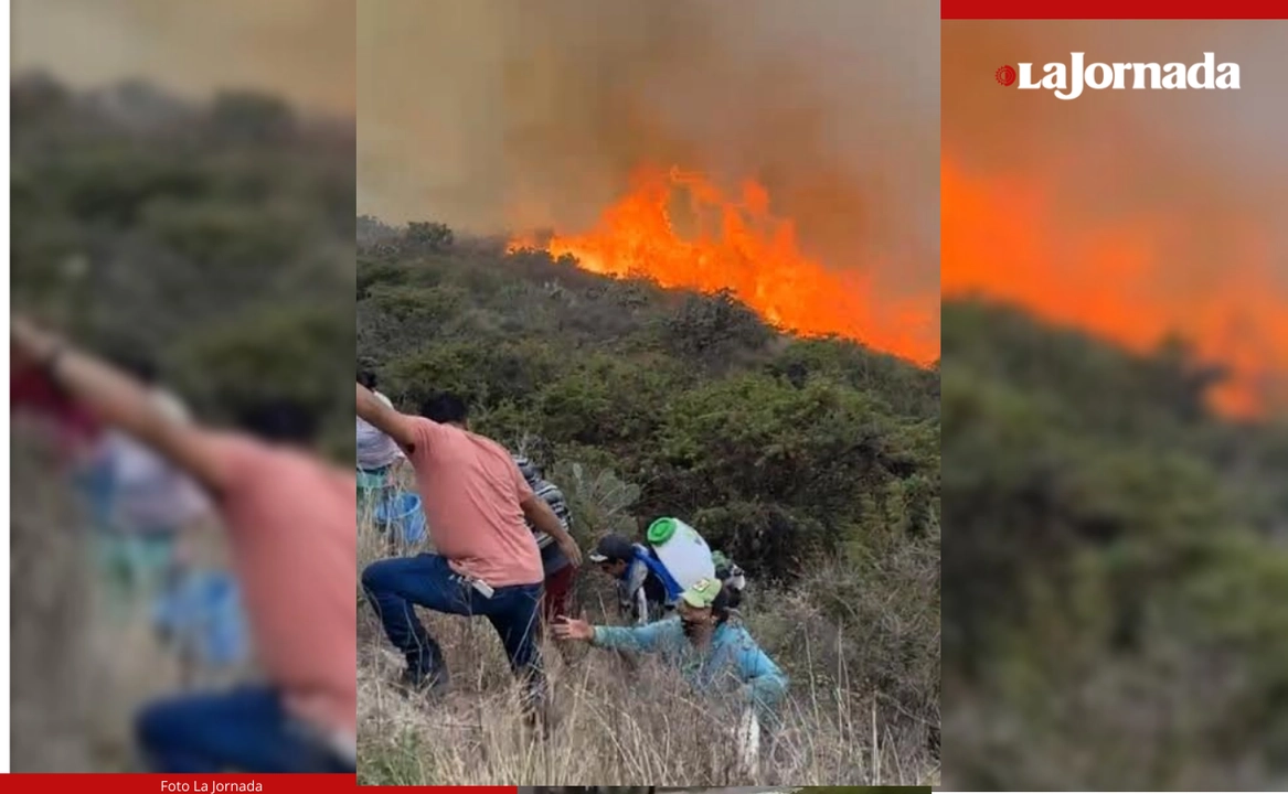 Hidalgo: incendio forestal en El Arenal provoca desalojo de pobladores