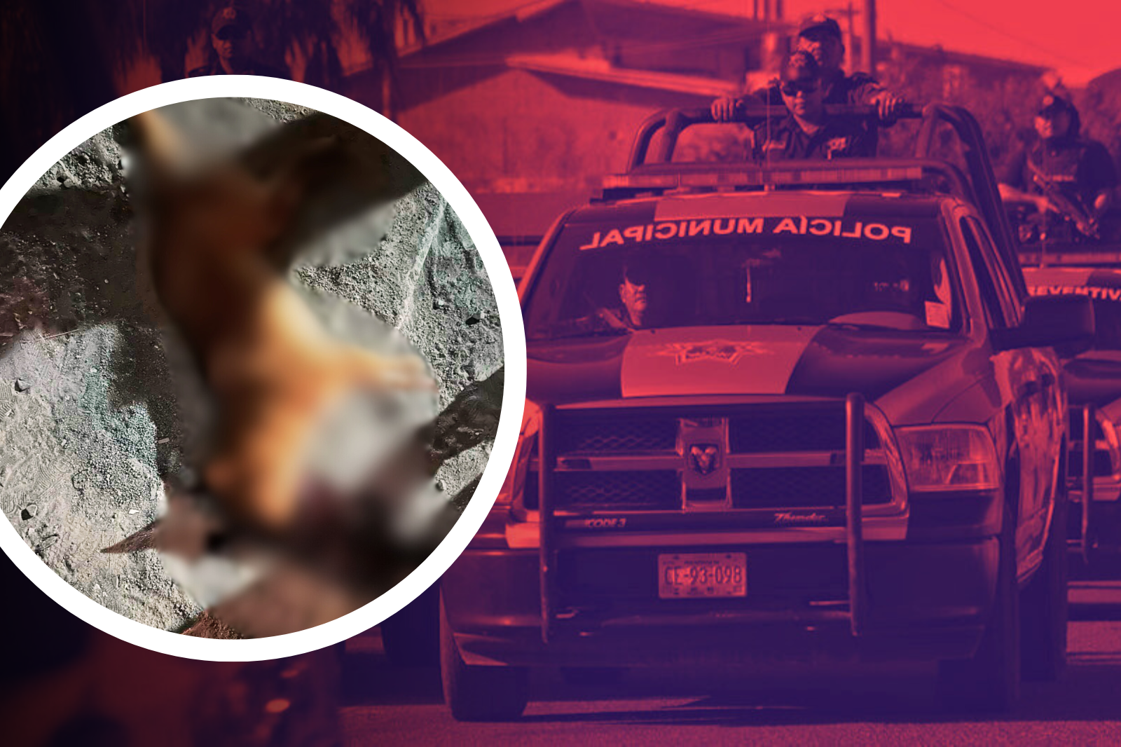 Villa de Tezontepec: denuncian asesinato de una perrita con arma de fuego