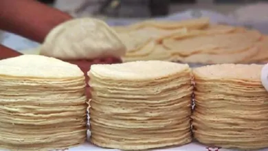 ¿Nuevo precio en el kilo de tortilla? Checa los detalles del nuevo acuerdo