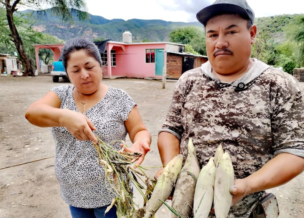 Desborde del río Santiago en Hidalgo afecta cultivos de siete localidades