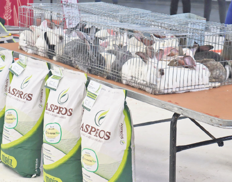 Entregan apoyos productivos y obras hídricas en la Huasteca