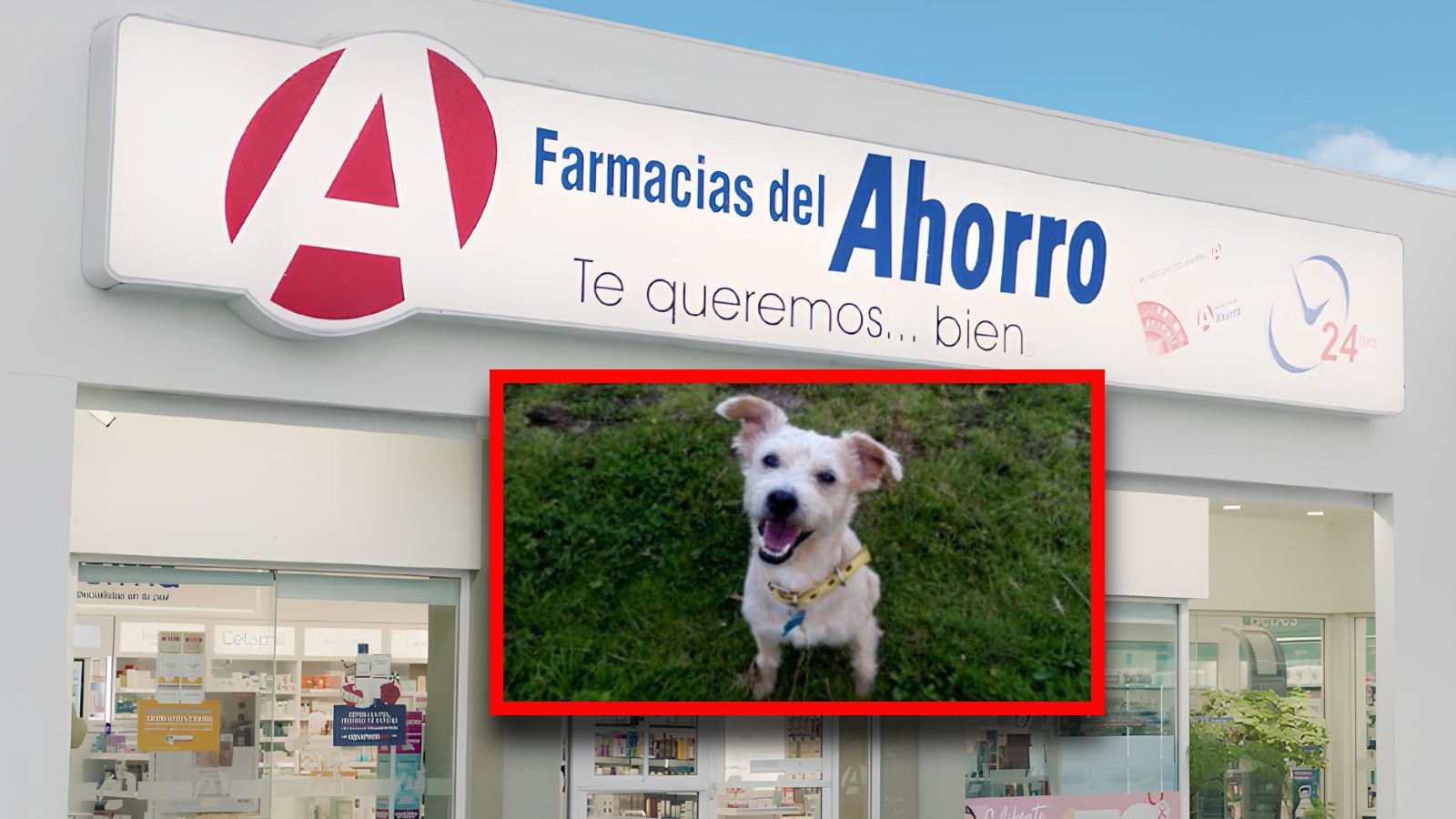 Farmacias del Ahorro lanza línea para mascotas con productos y servicios especializados