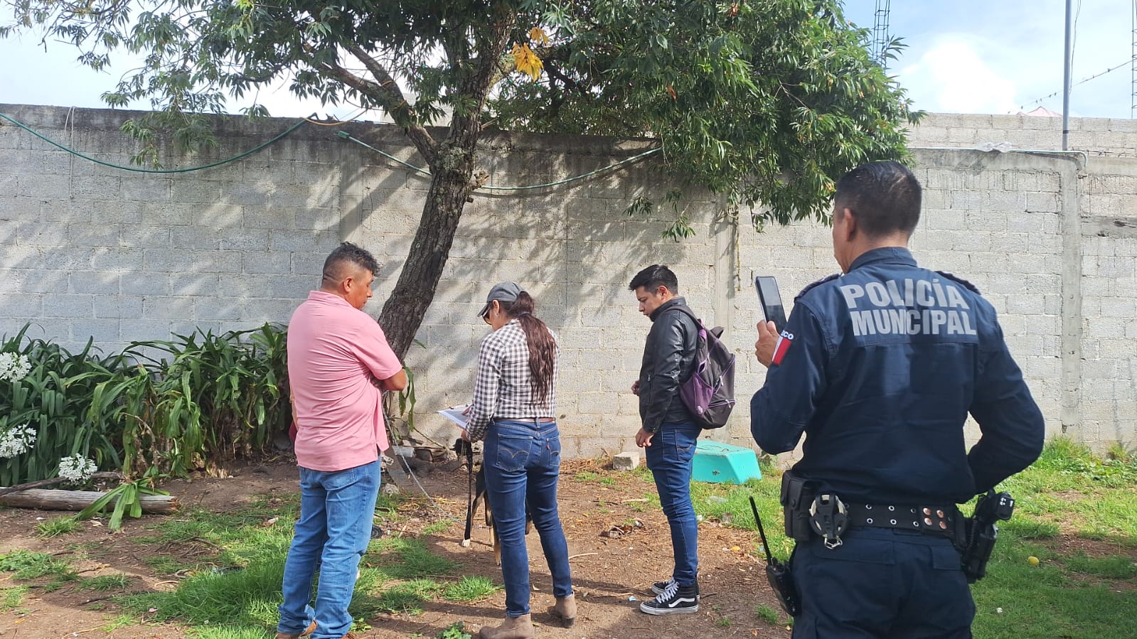 Tulancingo acumula 80 denuncias por maltrato animal en lo que va de 2025