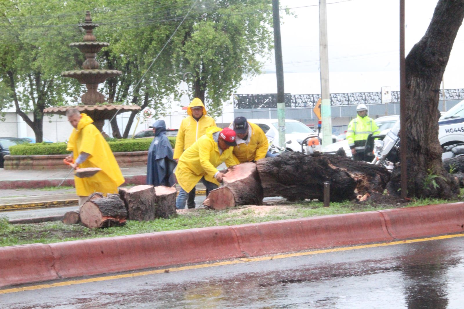 Caída de árbol genera cierre vial en bulevar Valle de San Javier en Pachuca