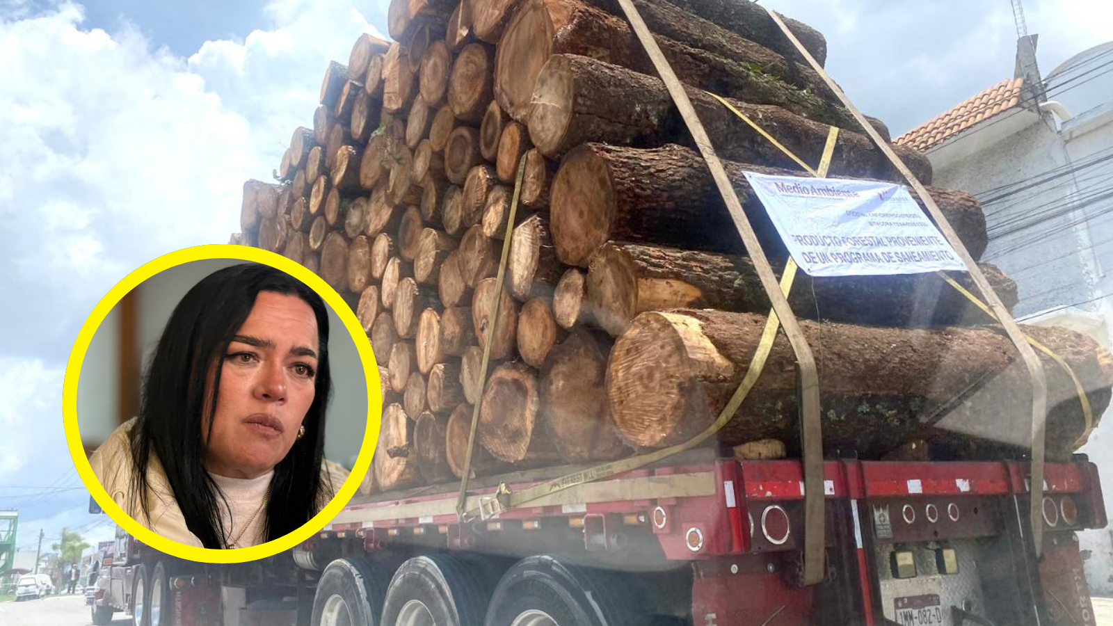 Saneamiento en Parque El Chico avanza: COESBIO prevé restauración ecológica