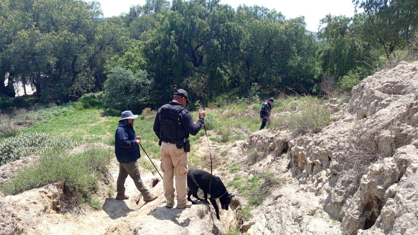 Sin avances en búsqueda de persona desaparecida en Mineral de la Reforma