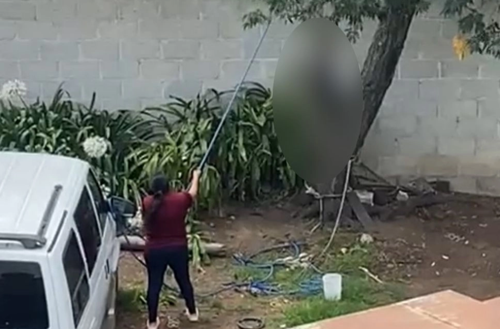 Tulancingo: mujer reconoce maltrato animal y ofrece disculpas en redes sociales
