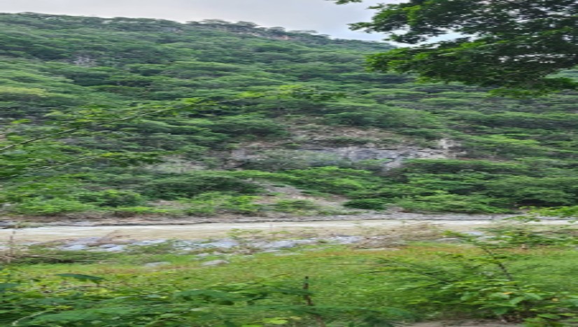 Habitantes de Jacala buscan a menor desaparecido; reportes indican que fue arrastrado por un río