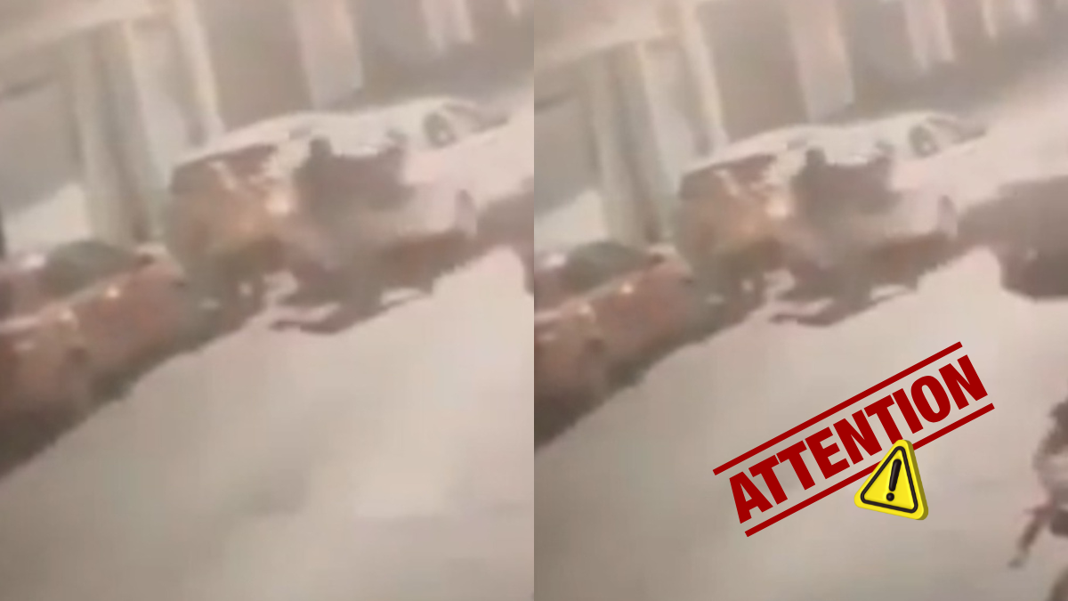 VIDEO: Mujer y su pareja matan y desaparecen en maletas a tía para empeñar joyas por 80 mil pesos