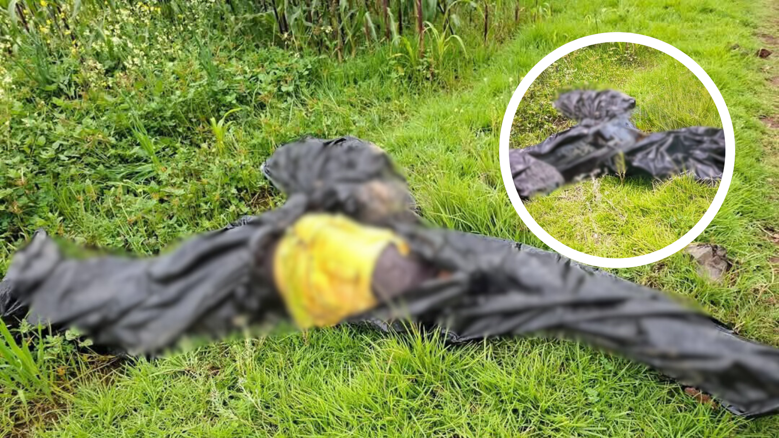 Hallan bolsas con restos humanos en Singuilucan