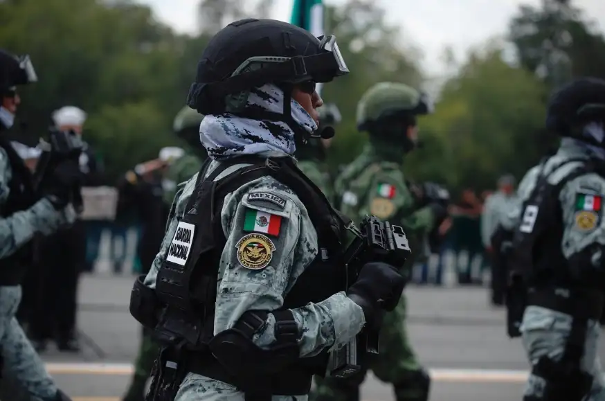 Cateos, decomisos y arrestos en 10 estados