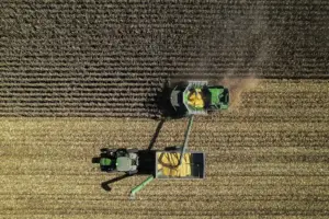 Actividad económica en Hidalgo crece 0.9% pese a caída del sector industrial revela INEGI